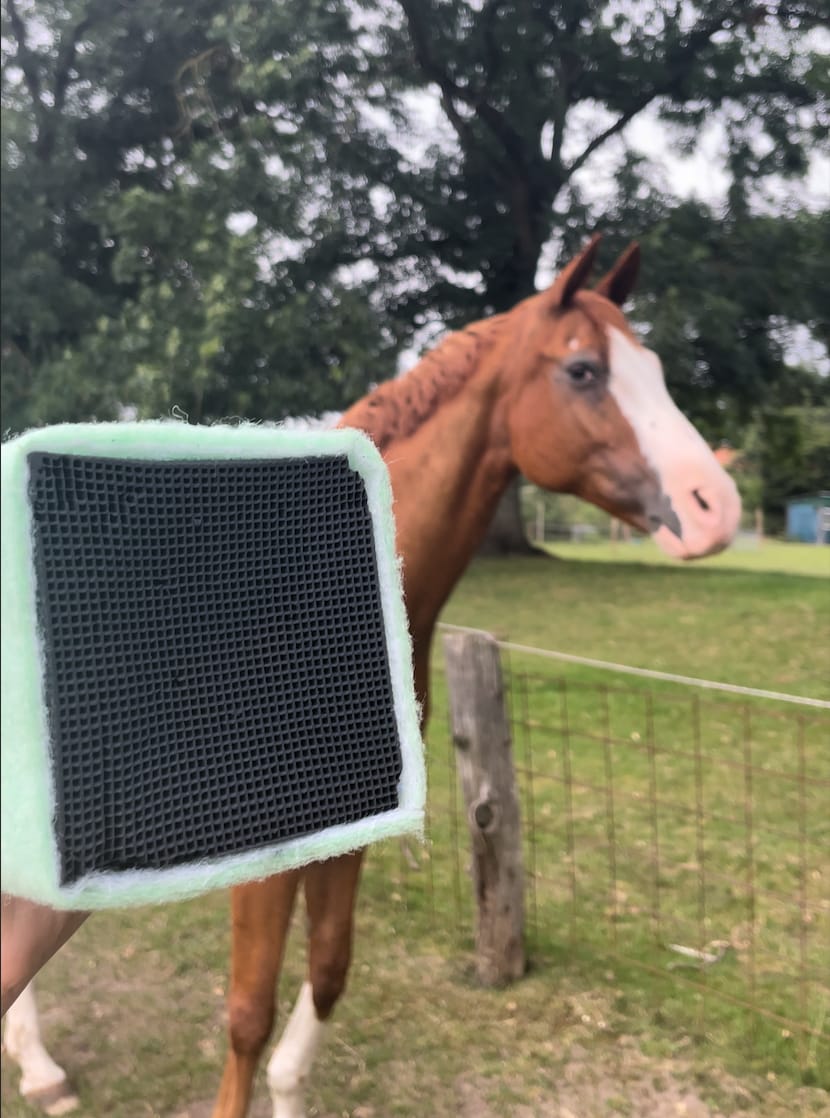 Customer photo review of SeasonCube 2.0 - Die nächste Generation