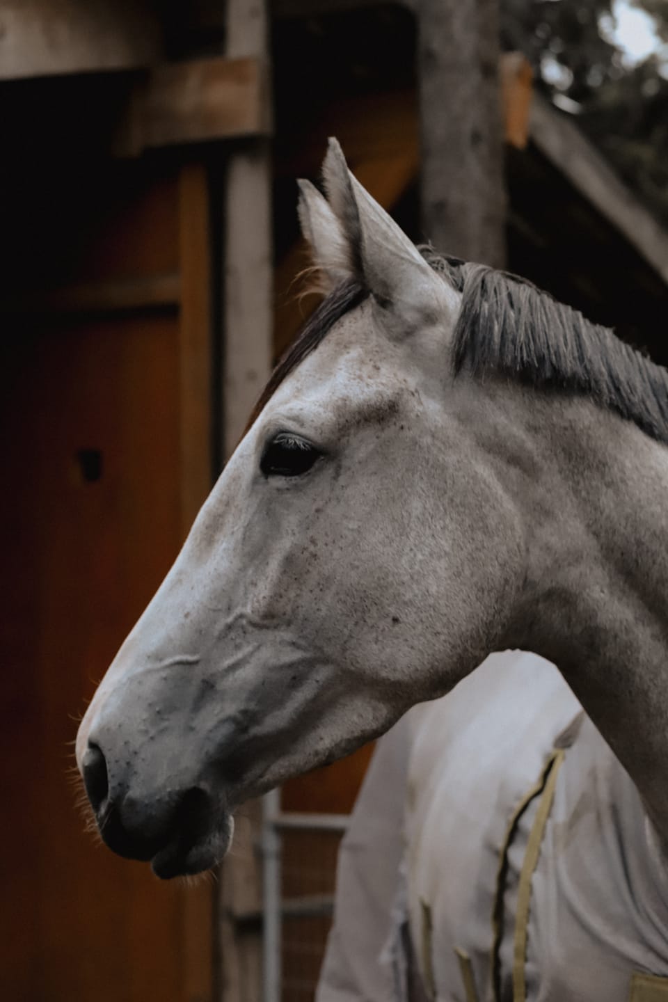 Customer photo review of TWILIGHT LIGHTROOM PRESETS