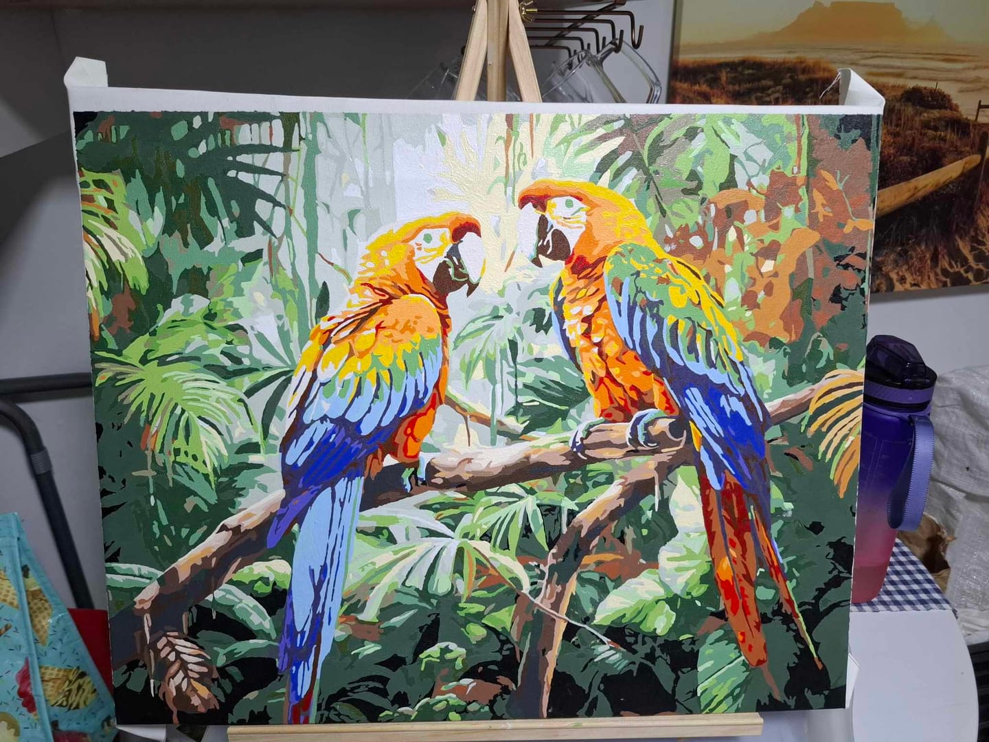 Customer photo review of Macaw Pair