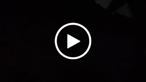 Customer video review of Ani | Saber