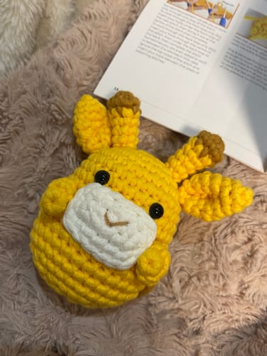 Customer photo review of Tally Crochet Kit