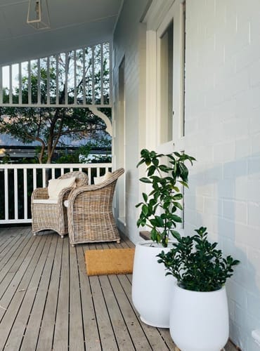 Customer photo review of Lucy