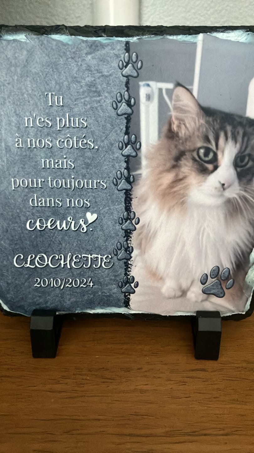 Customer photo review of Toujours dans mon cœur - Plaque d'ardoise personnalisée