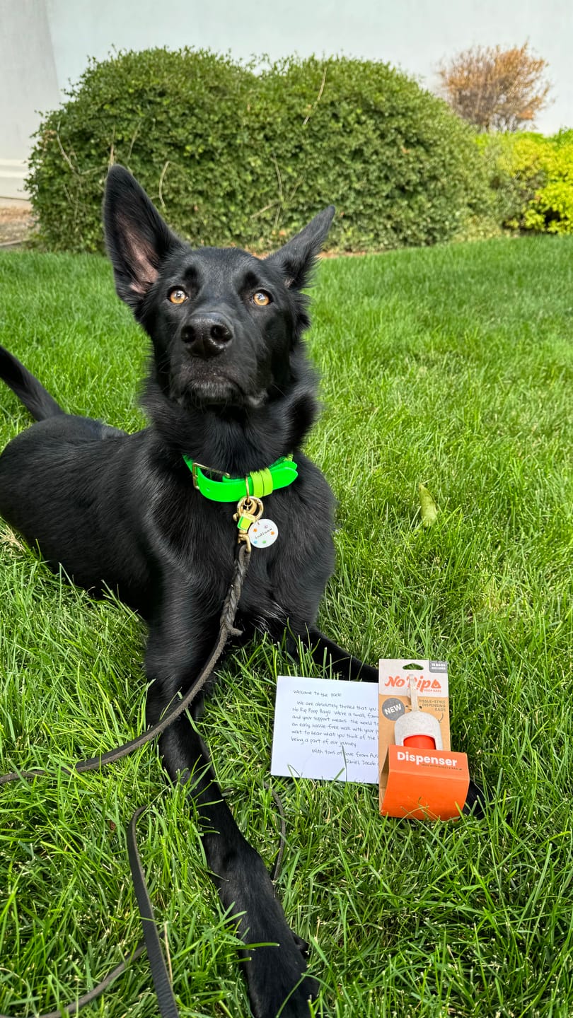 Customer photo review of Wheat Straw Dispenser + 1 Roll of No Rip Poop Bags