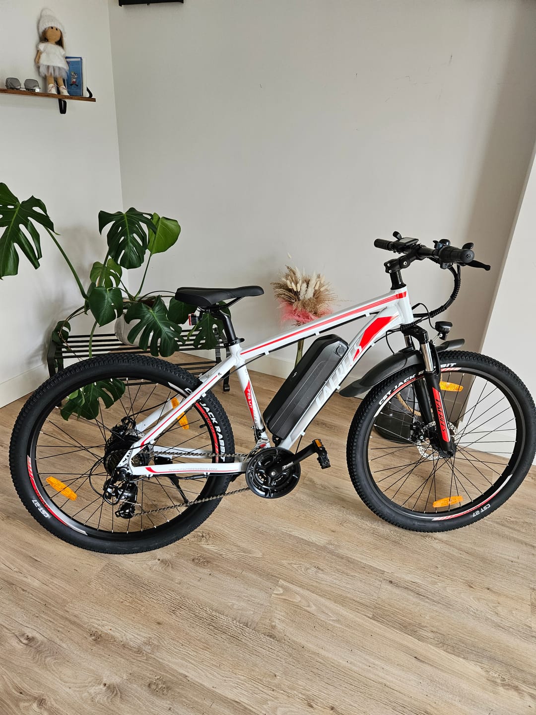 Customer photo review of Fafrees F28 MT