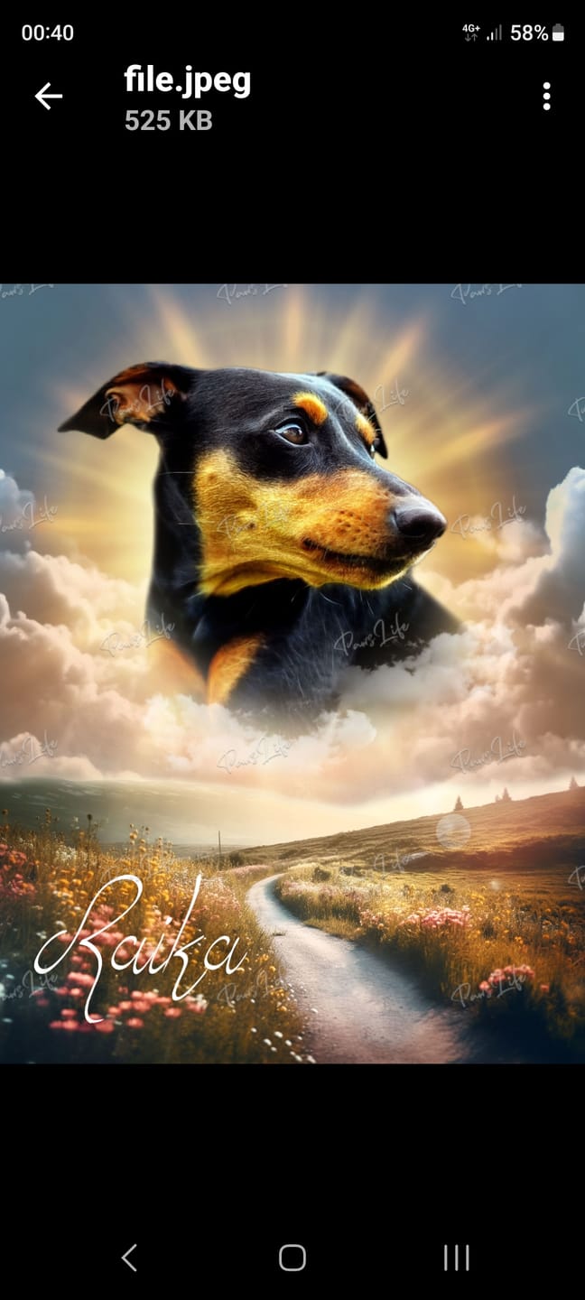 Customer photo review of Personalisiertes Portrait - Sonnen Stil