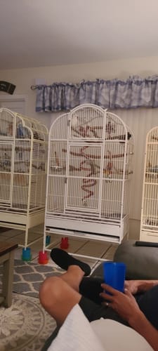 Customer photo review of Kings Cages SLT 3223 64X32X23