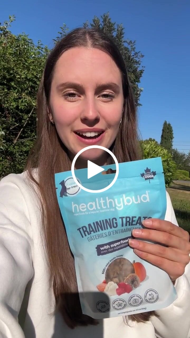 Customer video review of Beef Mini Training Treats