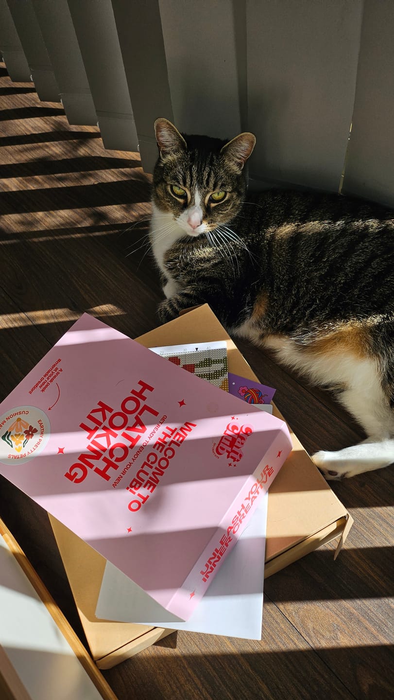 Customer photo review of CHECK ME OUT Rug Making Kit