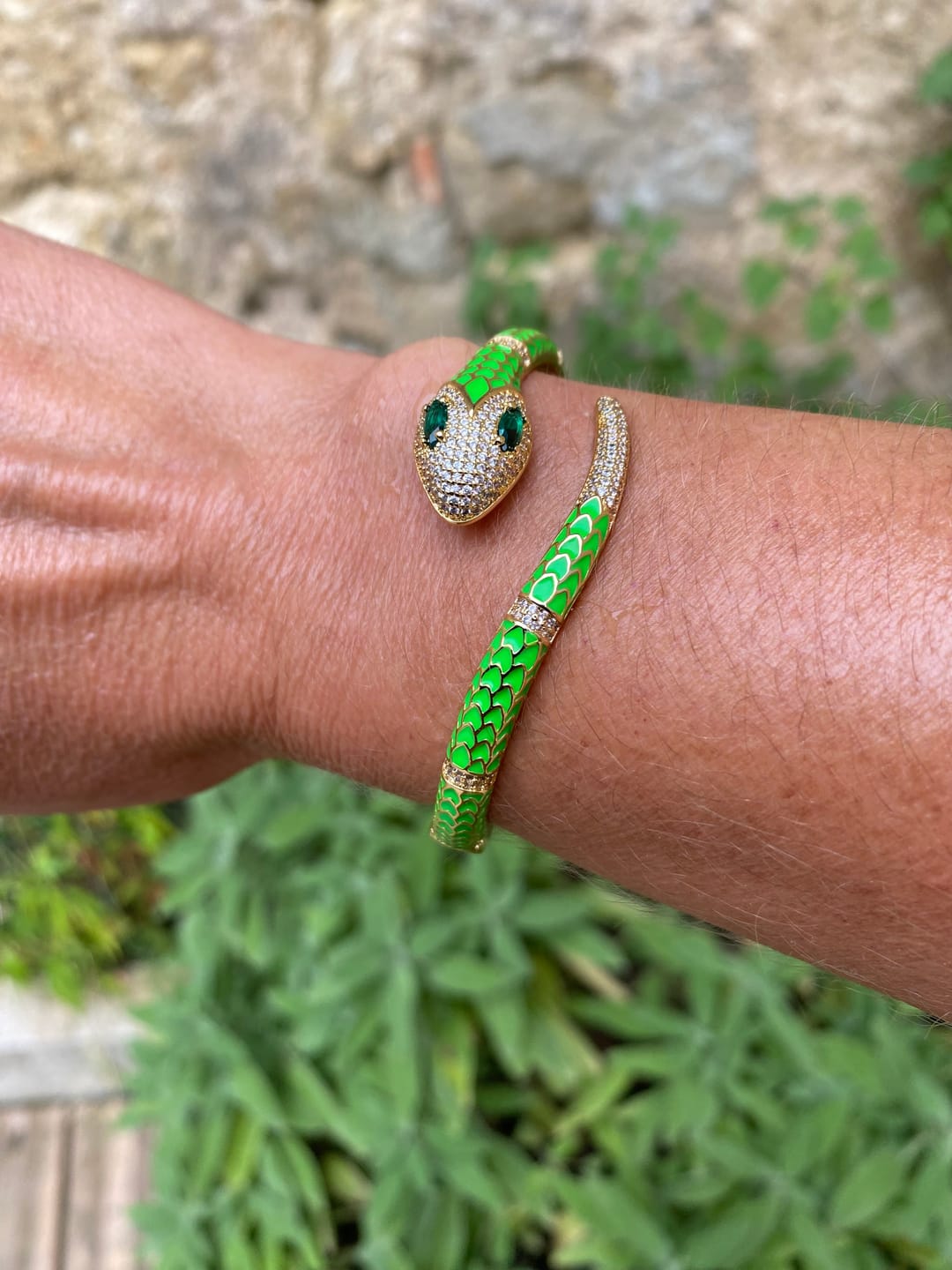 Customer photo review of Serpico