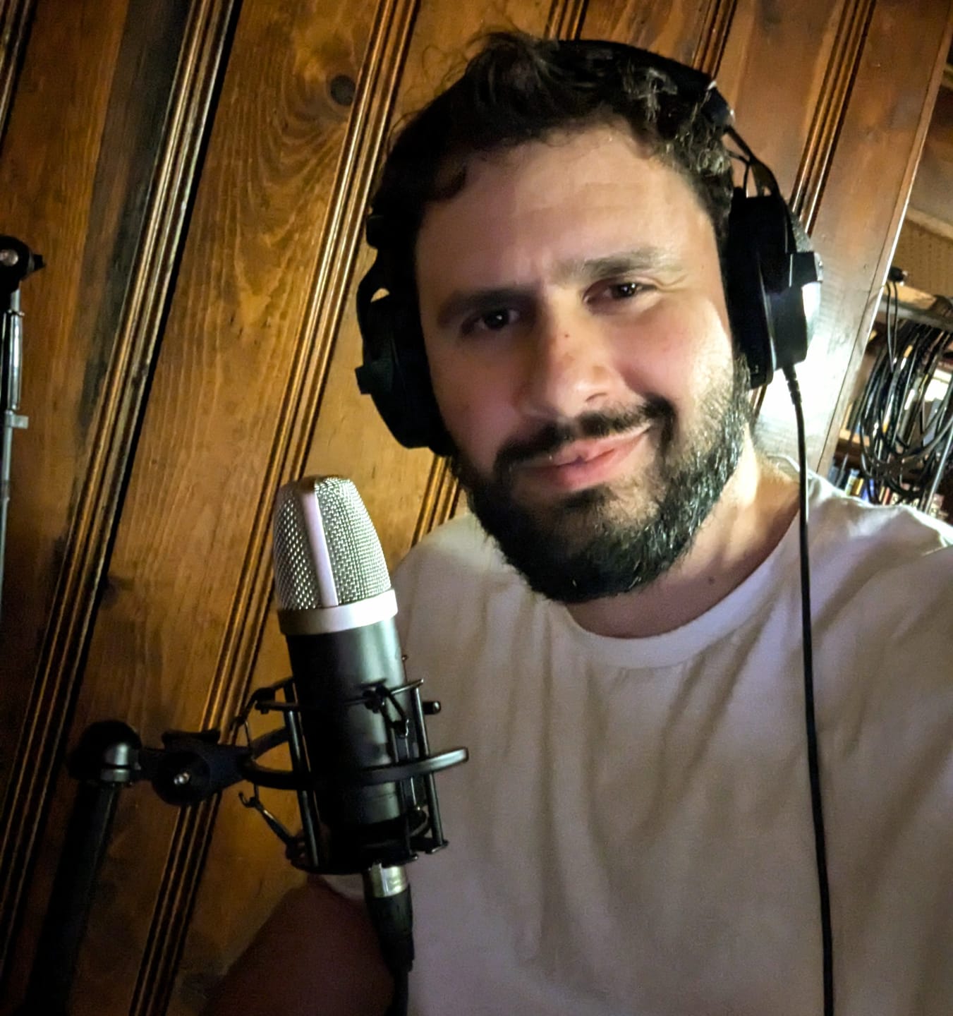 Customer photo review of Mini K47 Condenser Microphone