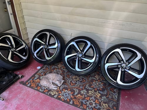 Customer photo review of High Gloss Tire Shine