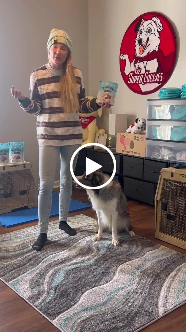 Customer video review of Beef Mini Training Treats