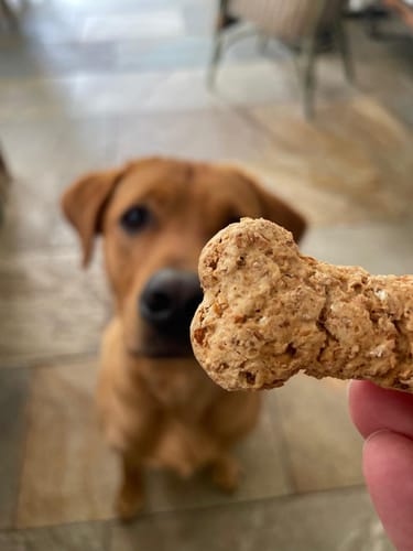 Customer photo review of Pooch's Handmade Dog Treats