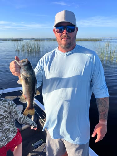 Customer photo review of THE FOG (6-curved)