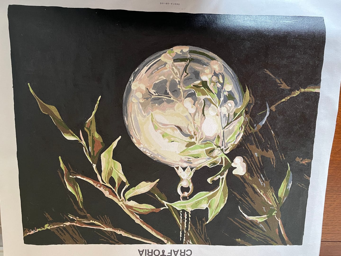 Customer photo review of Mistletoe Magic