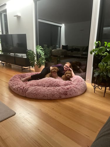 Customer photo review of PaWz Premium Calming Pet Bed with Removable Cover