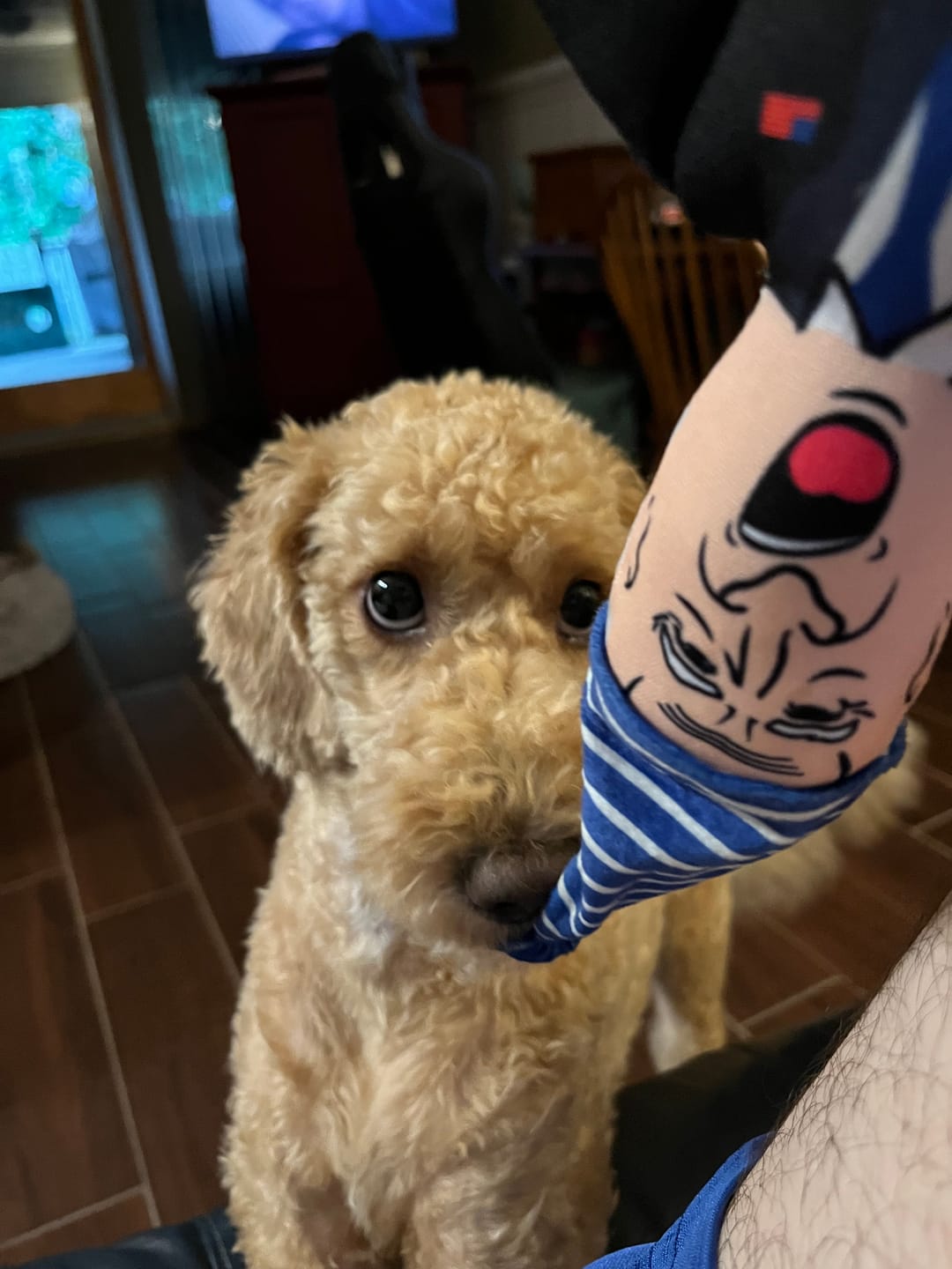 Customer photo review of Joe Biden Kamala Harris & Nancy Pelosi Starter Pack Tough Plush Dog Chew Toys with Squeakers - Official Republican Dogs