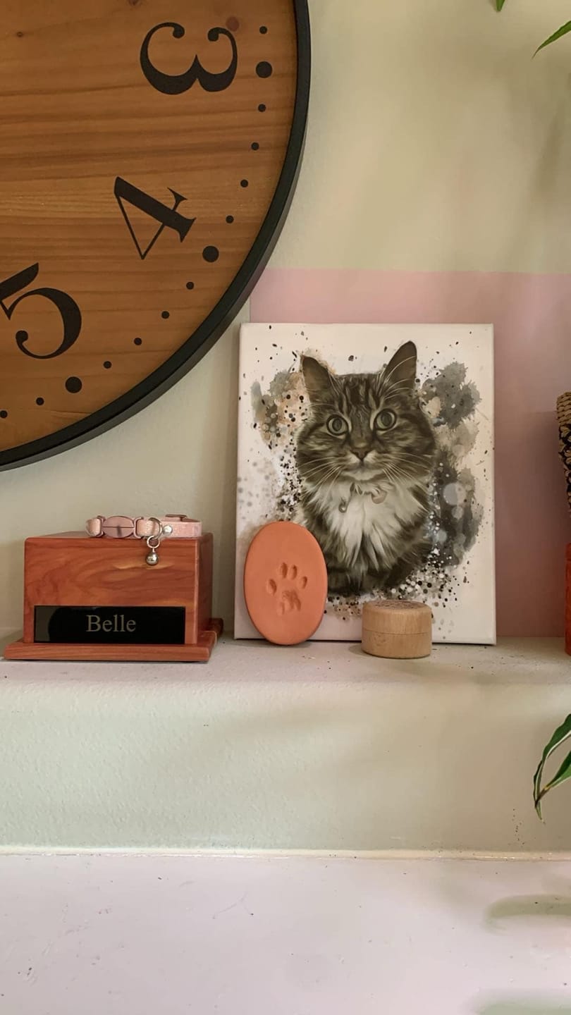 Customer photo review of Personalized Pet Art - Canvas