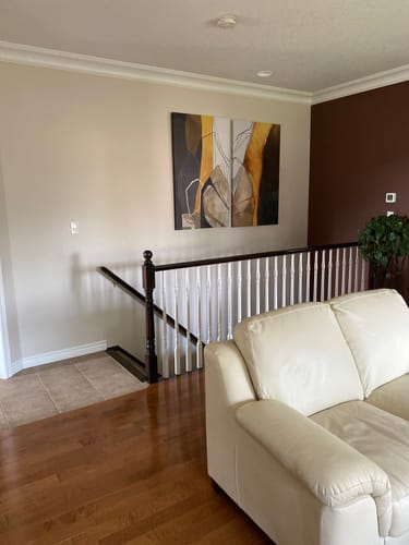 Customer photo review of 'Modern Mustard' Framed Canvas (Set of 2)