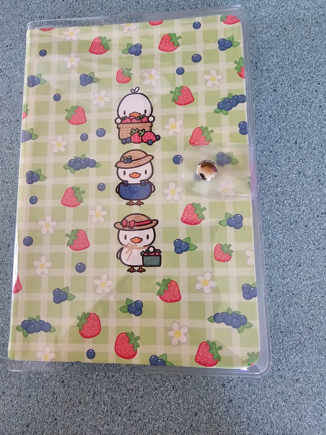 Customer photo review of Journal Cover - Clear PVC