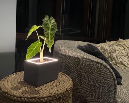 Customer photo review of Retro - Blüme Light LED Planter