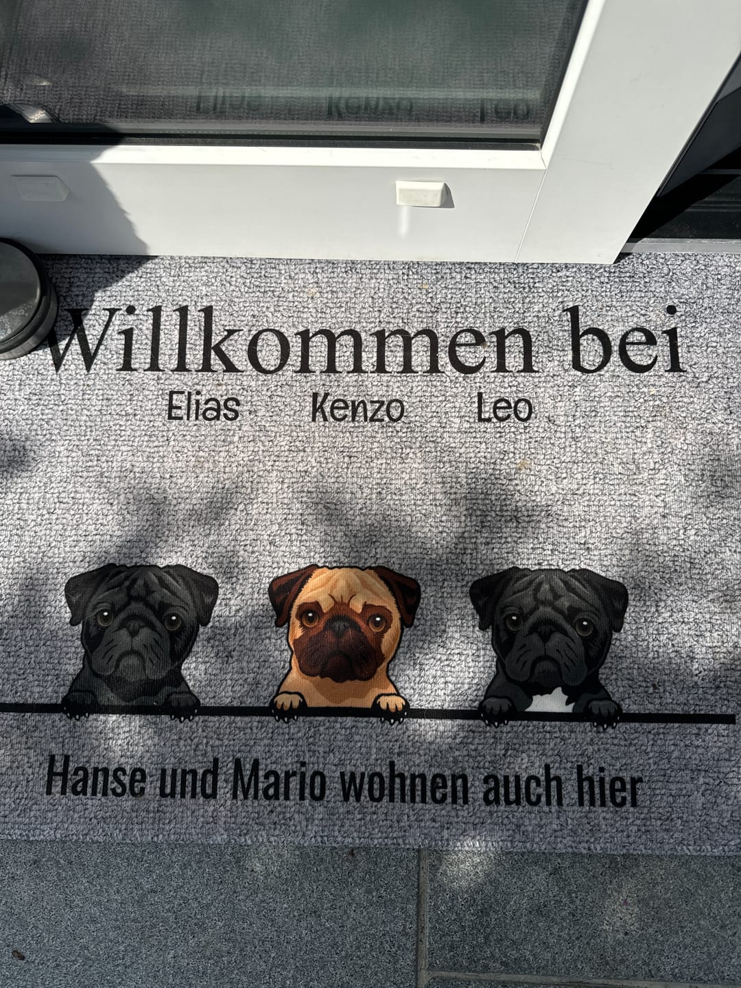 Customer photo review of Alle meine Fellnasen - Individuelle Fußmatte