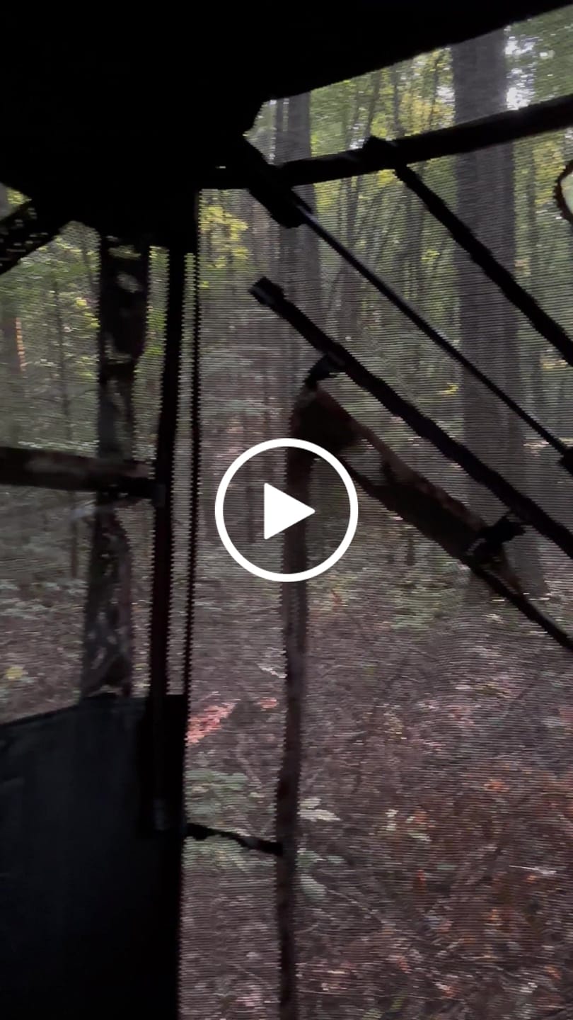 Customer video review of Hunting Blind 270°See Through with Silent Magnetic Door & Sliding Windows, 2-3 Person Pop Up Ground Blind with Carrying Bag, Portable Durable Hunting Tent for Deer & Turkey Hunting(Camouflage)