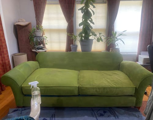 Customer photo review of Fabric Paint -- Olive