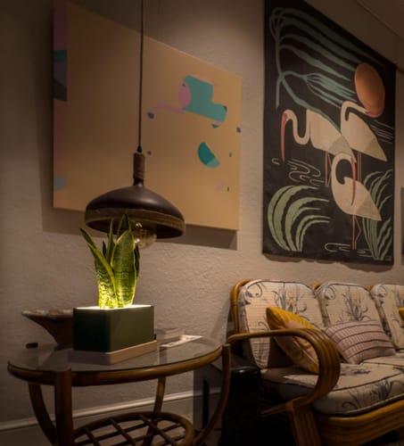 Customer photo review of Retro - Blüme Light LED Planter