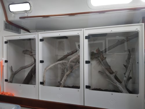 Customer photo review of XA3BIO (24Lx36Hx24D) - STACKABLE