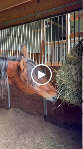 Customer video review of Hay Chix® Half Bale Net