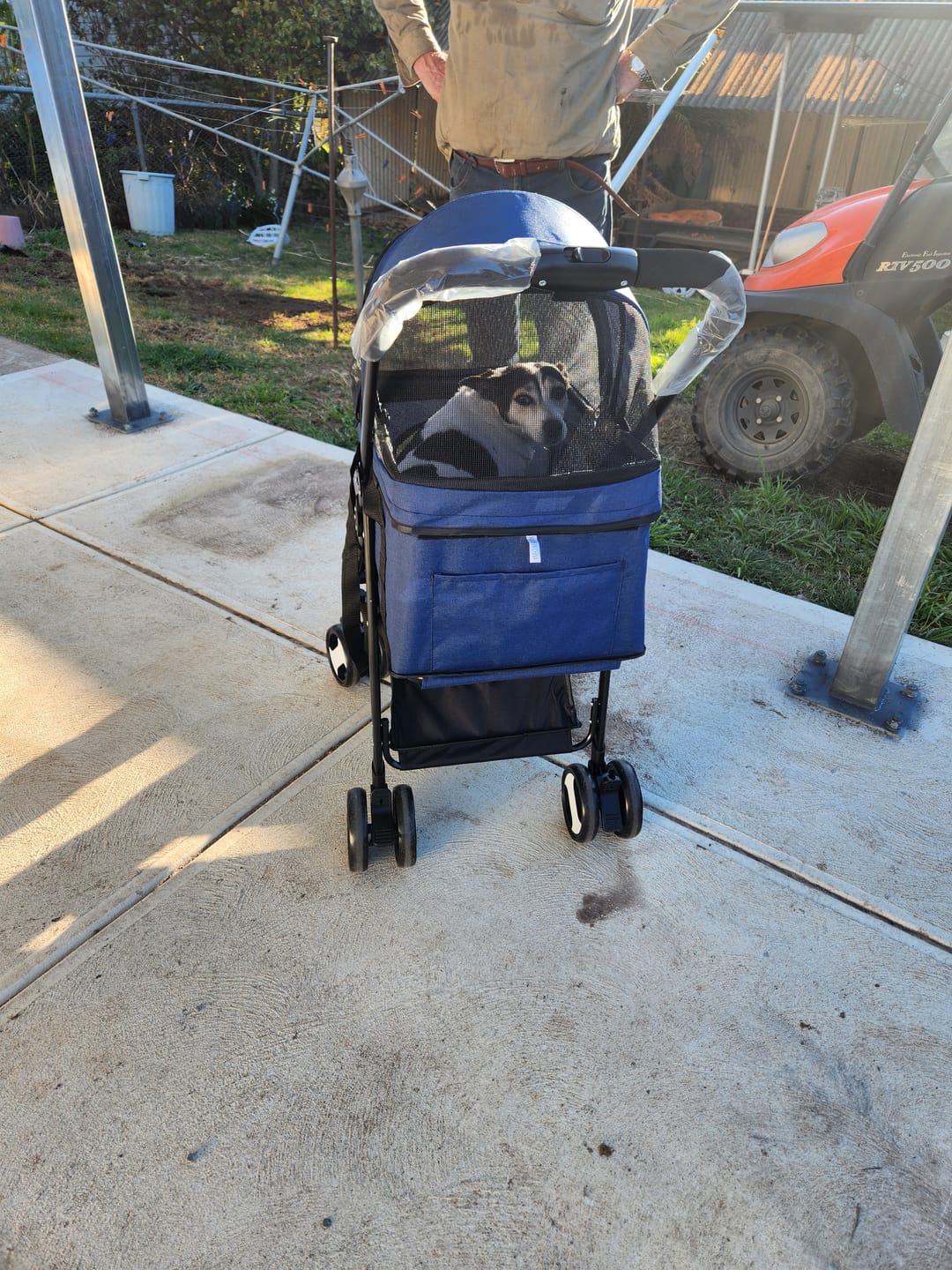 Customer photo review of PaWz Large Dog Stroller Cruiser