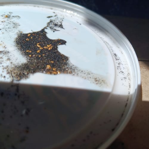 Customer photo review of Clean-Up Buddy Kit