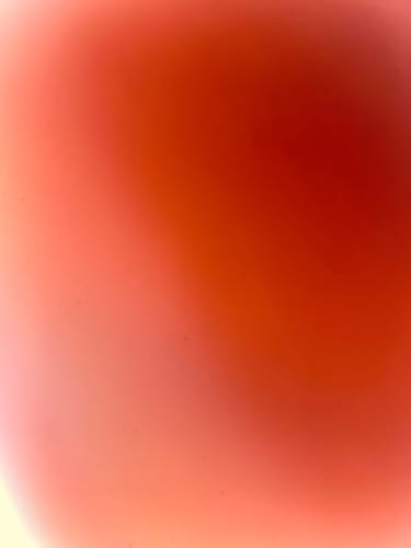 Customer photo review of 2023 CALIFORNIA DMV.CA.GOV LICENSE PLATE 6"x12" (156.5mm x 305mm)