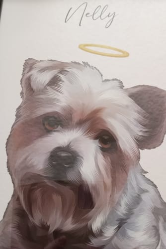 Customer photo review of Πορτραίτο Κατοικίδιου - In Memory