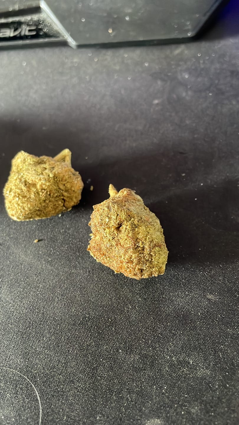 Customer photo review of WHITE WIDOW x 5% THCP