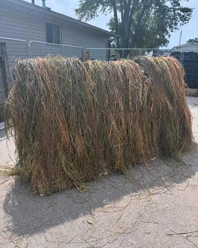 undefined review of Hunting Blind Raffia Grass (Pack) image 1 out of 1