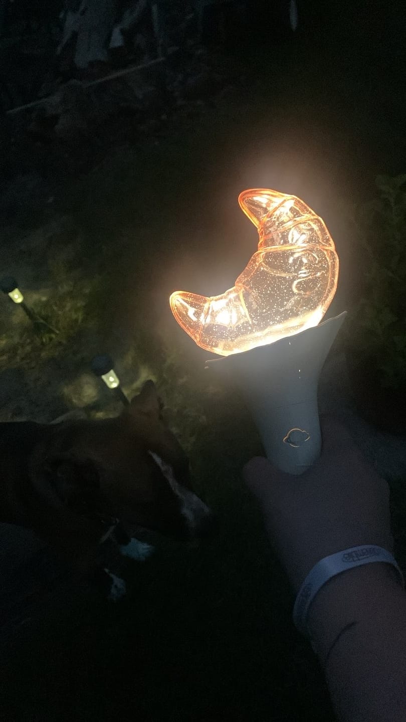 Customer photo review of Loossemble - OFFICIAL LIGHT STICK