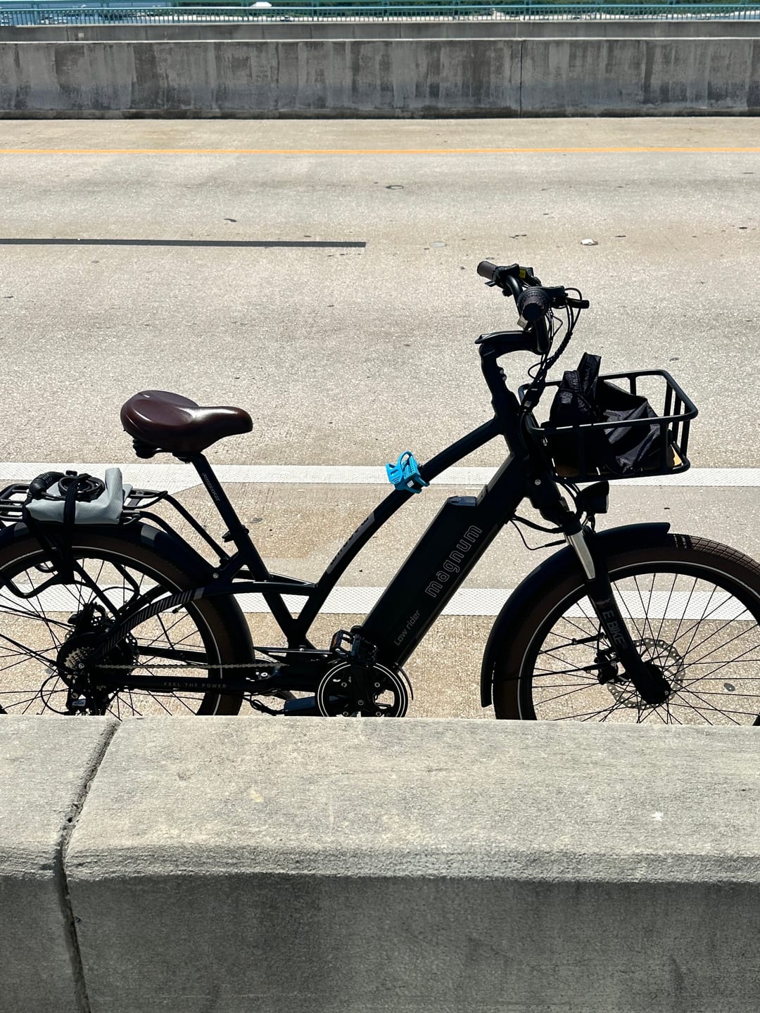 Customer photo review of Low Rider 2.0