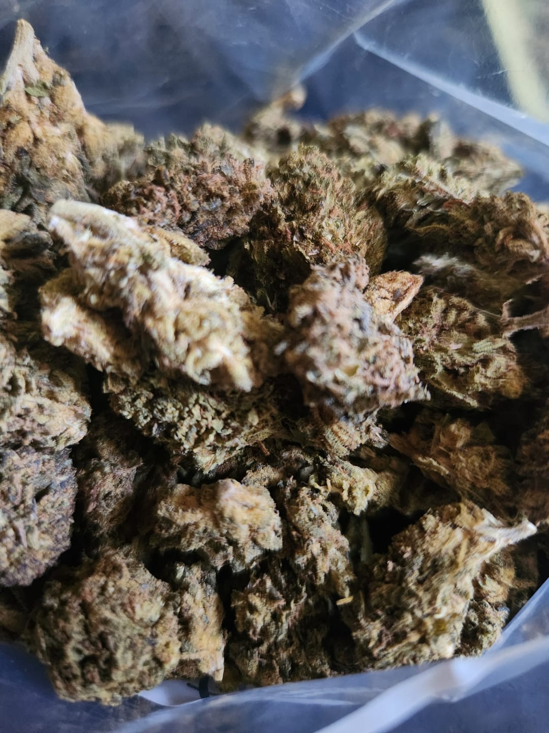 Customer photo review of Exotic Micros