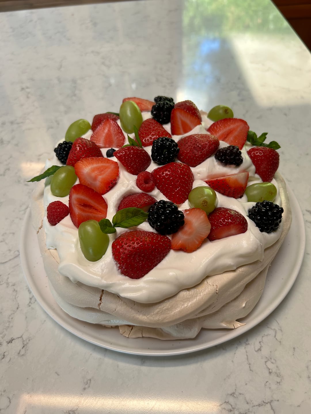 Customer photo review of TOKIT Omni Cook Premium Bundle