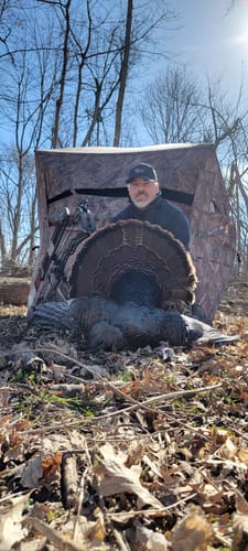 Customer photo review of Beast Broadheads (2-Pack + Practice Tip)