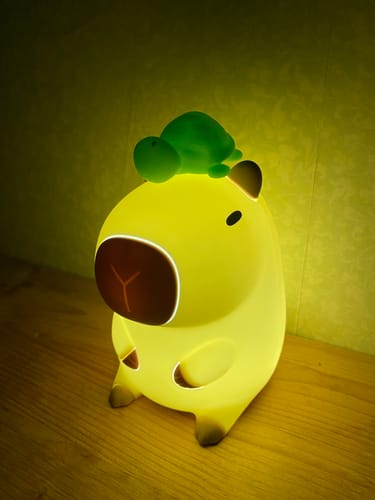 Customer photo review of Huggwaii Capybara With Turtle LED Squishy Night Light For Gift USB Rechargeable Capybara Lamp