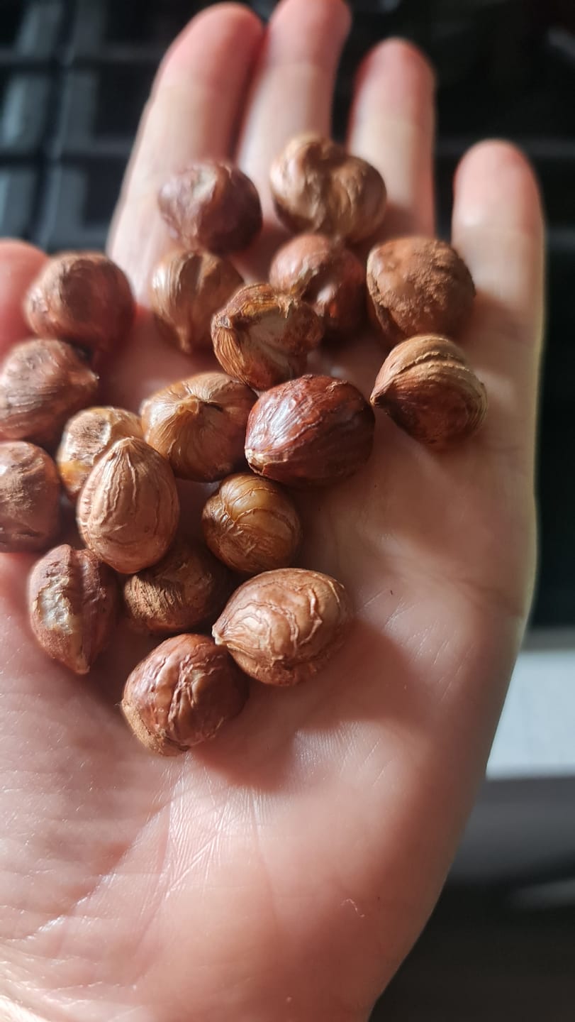 Customer photo review of Raw hazelnuts