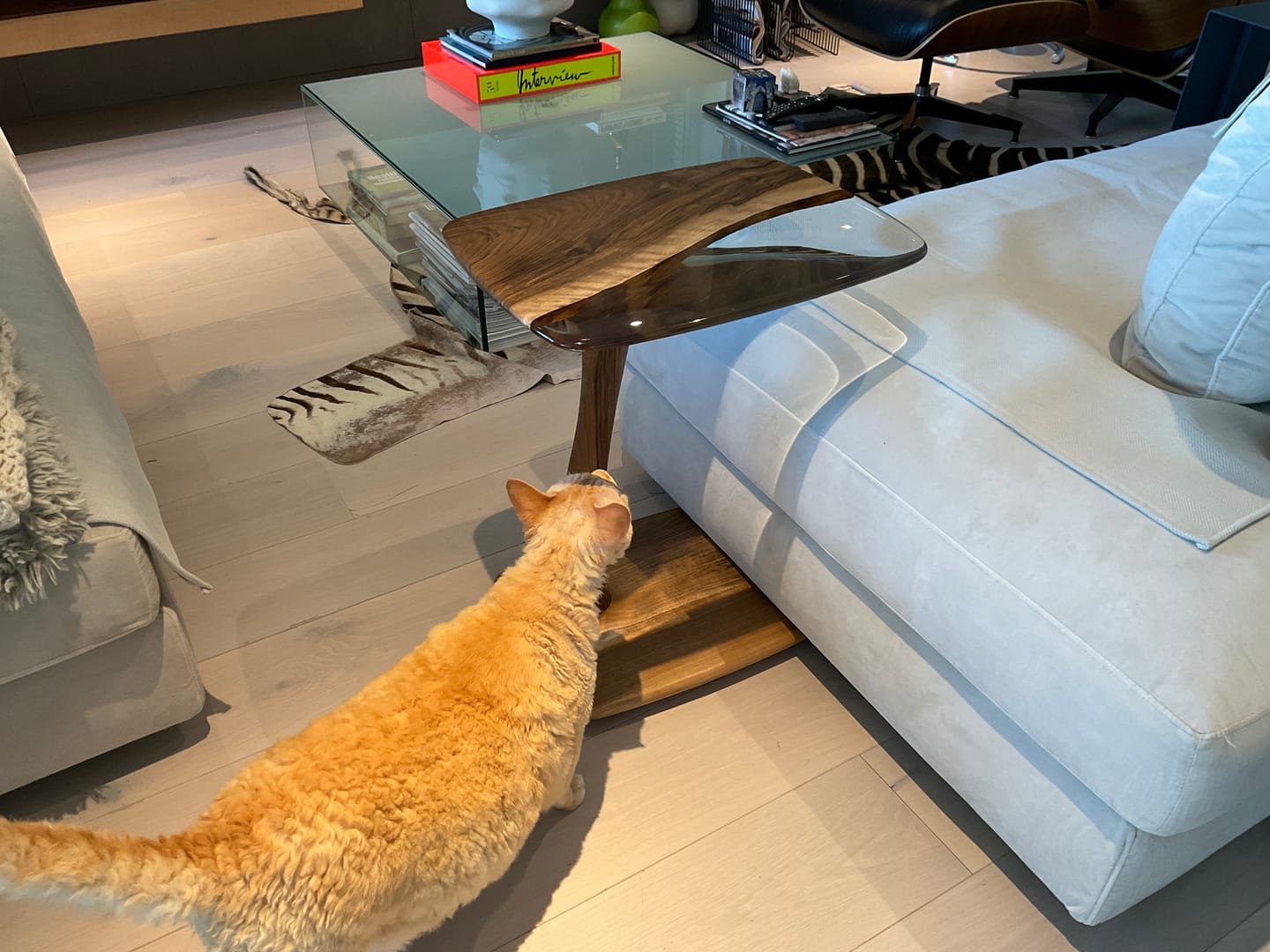 Customer photo review of C Coffee Table-End Table