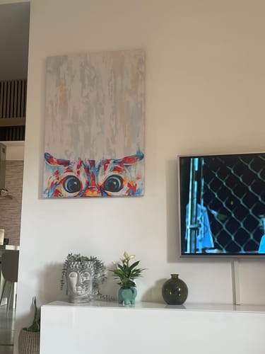 Customer photo review of Il re della casa