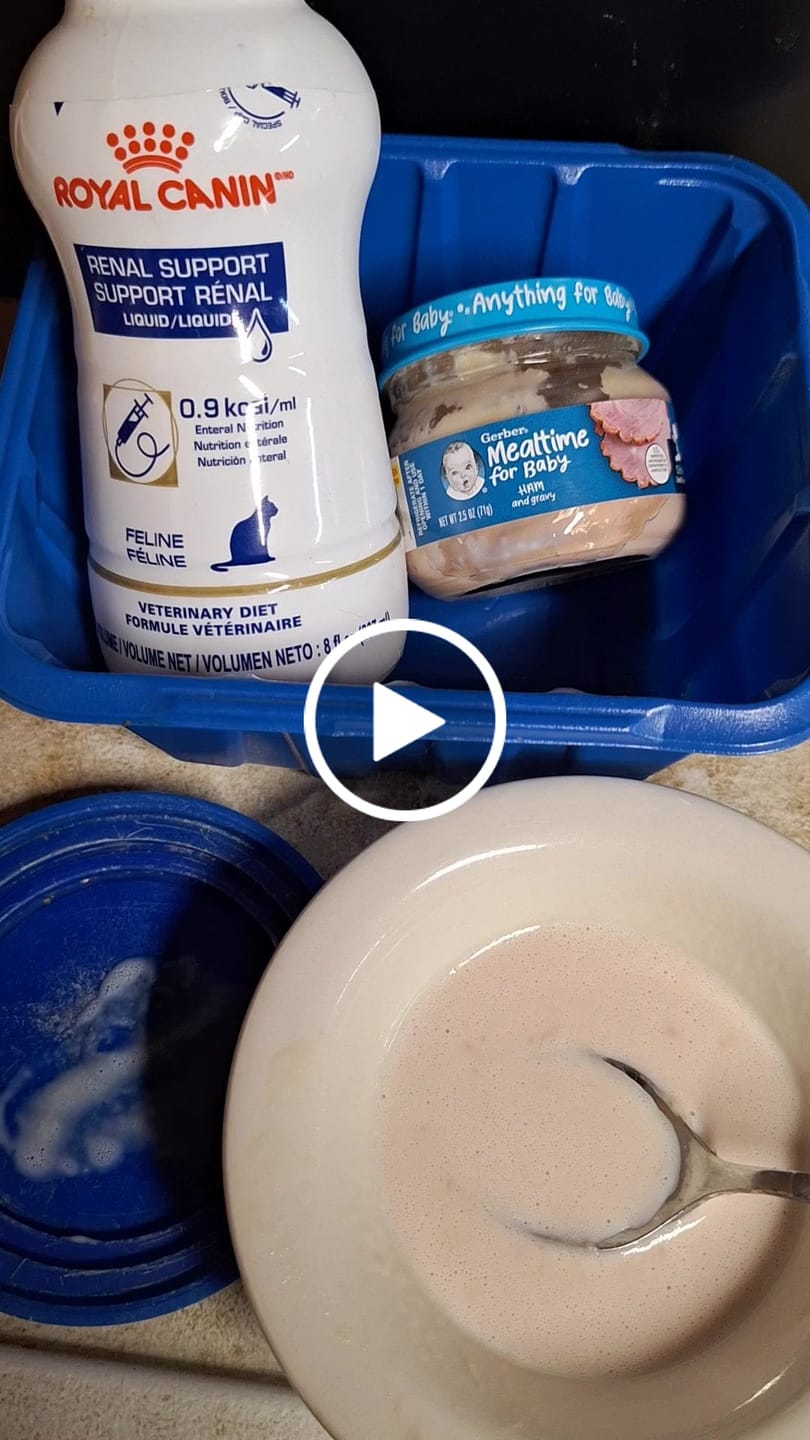 Customer video review of Royal Canin Renal Support Liquid Feline 4pack