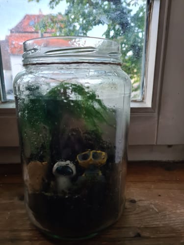 Customer photo review of Flaschengarten-Kindergeburtstags-Set