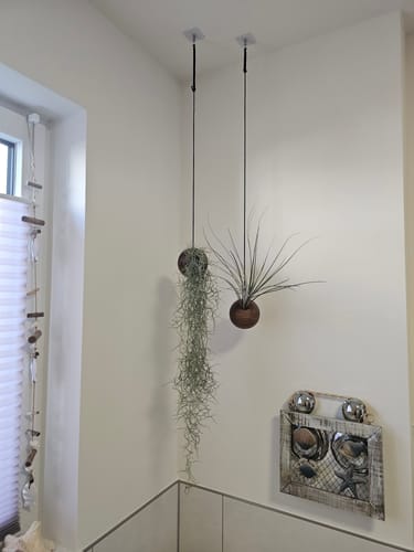 Customer photo review of Tilly Xylo Globus